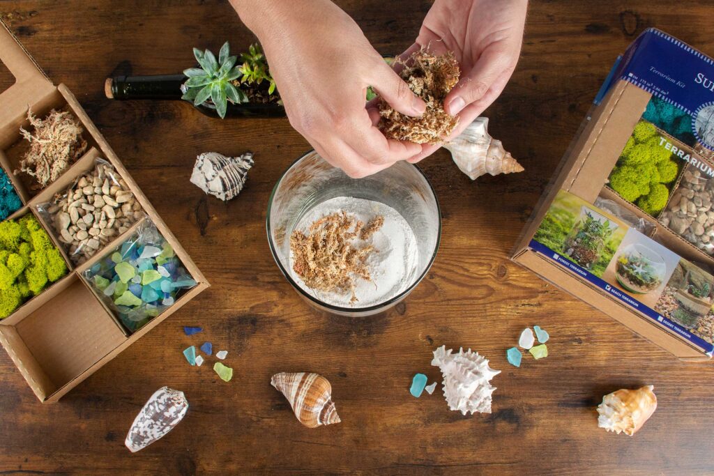 Coastal Terrarium with Beach and Live Moss - Glass - Pebbles - Sand from  Apollo Box