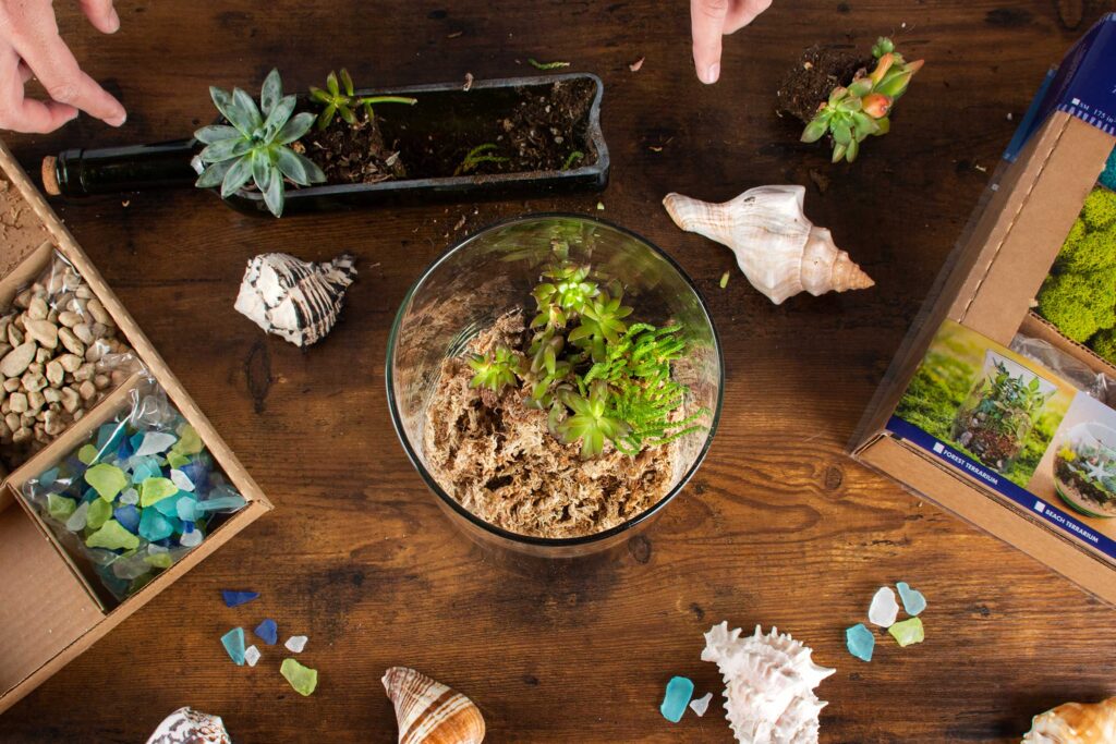 Coastal Terrarium with Beach and Live Moss - Glass - Pebbles - Sand from  Apollo Box