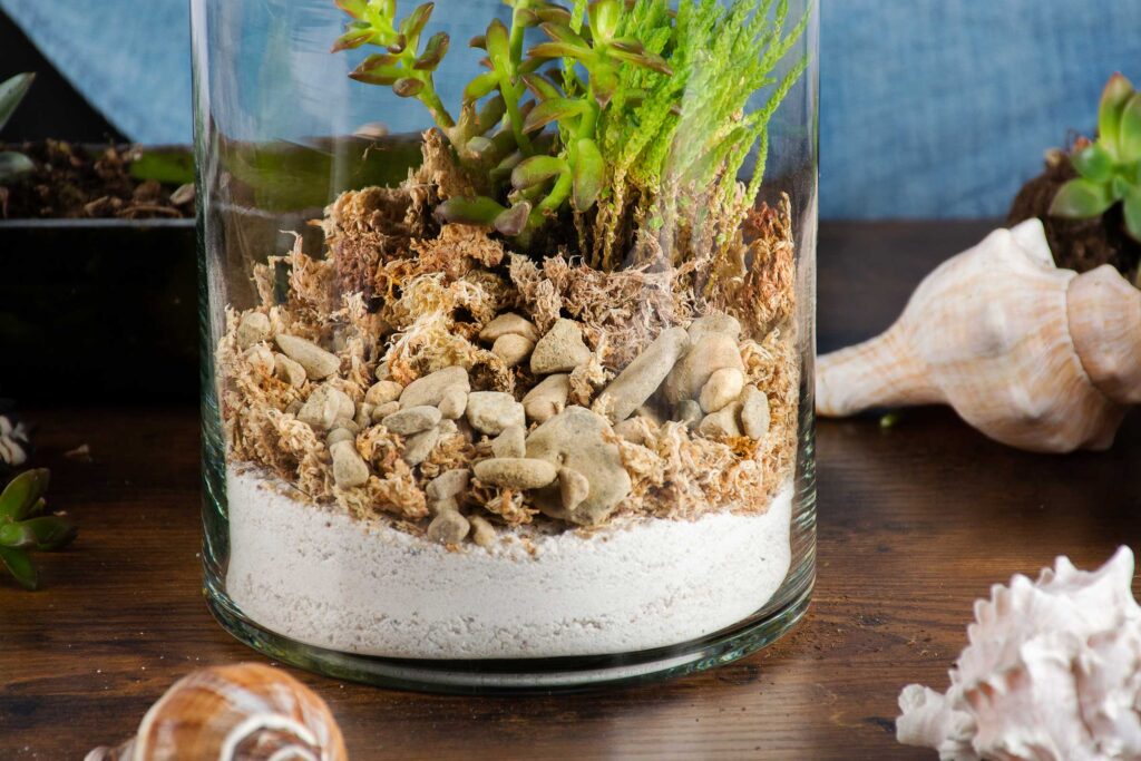 Coastal Terrarium with Beach and Live Moss - Glass - Pebbles - Sand from  Apollo Box