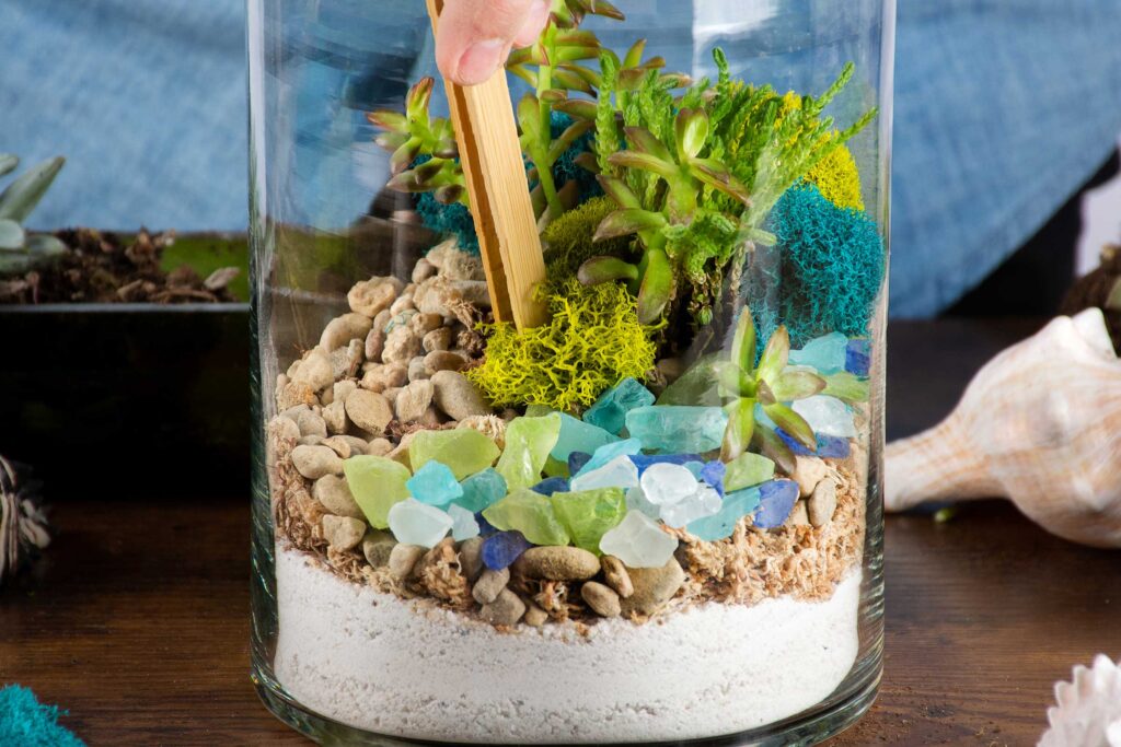 Coastal Terrarium with Beach and Live Moss - Glass - Pebbles - Sand from  Apollo Box