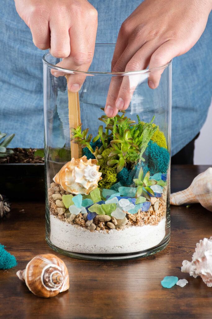 Coastal Terrarium with Beach and Live Moss - Glass - Pebbles - Sand from  Apollo Box