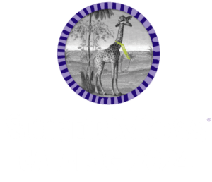 SuperMoss 2024 Catalog