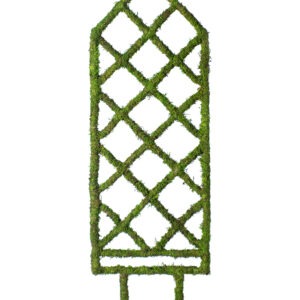 Diamond Plant Trellis