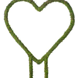 Heart Plant Trellis