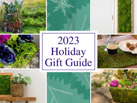 SuperMoss 2023 Holiday Gift Guide