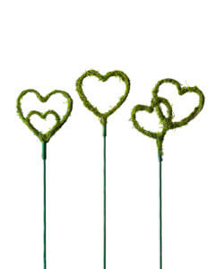 Heart Moss Picks, Set of 3