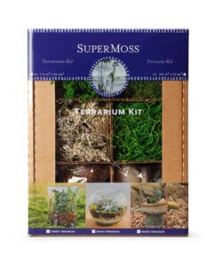 Terrarium DIY Kit