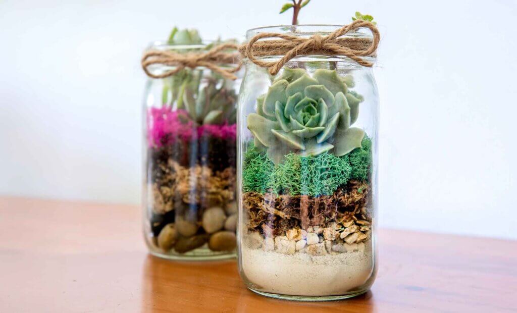 Terrarium Jar DIY Kit #1
