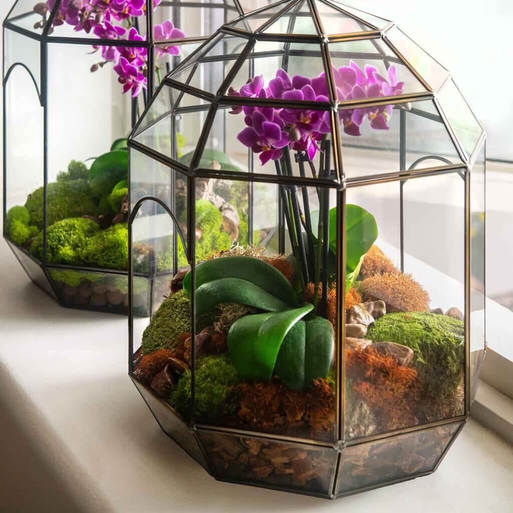 SuperMoss Glass Terrarium #5