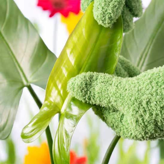 Green Gloves for Plants