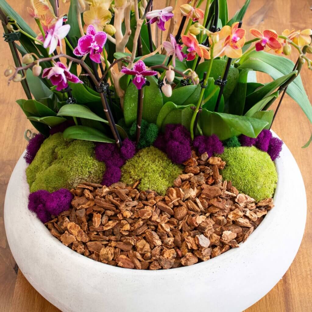 SuperMoss | Orchid Potting Mix, 4qt. Zip Bag