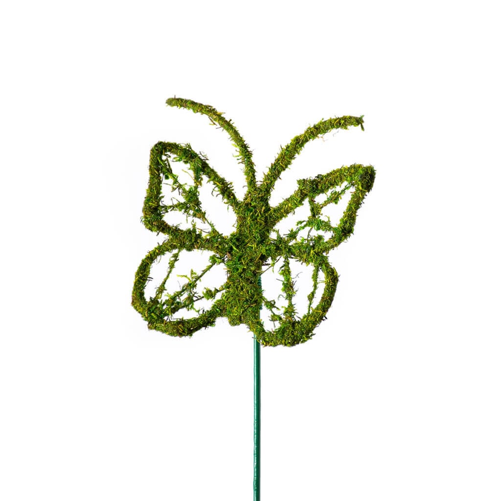 Monarch Moss Pick, Single #1