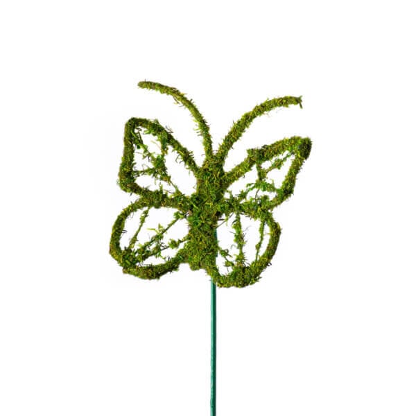 Monarch Moss Pick, Single