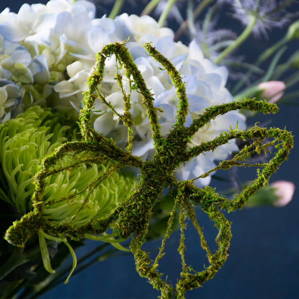 Mariposa Moss Pick, Single #1