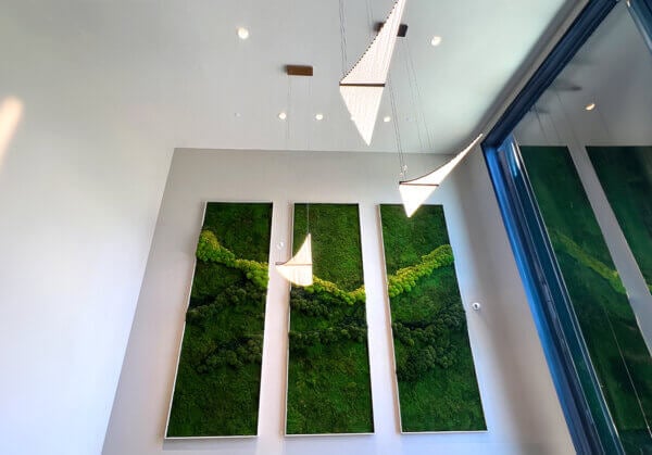 Staying Grounded in LA with Mia Palma