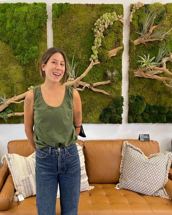 A Living Sanctuary: Bringing Stillness and Green Indoors