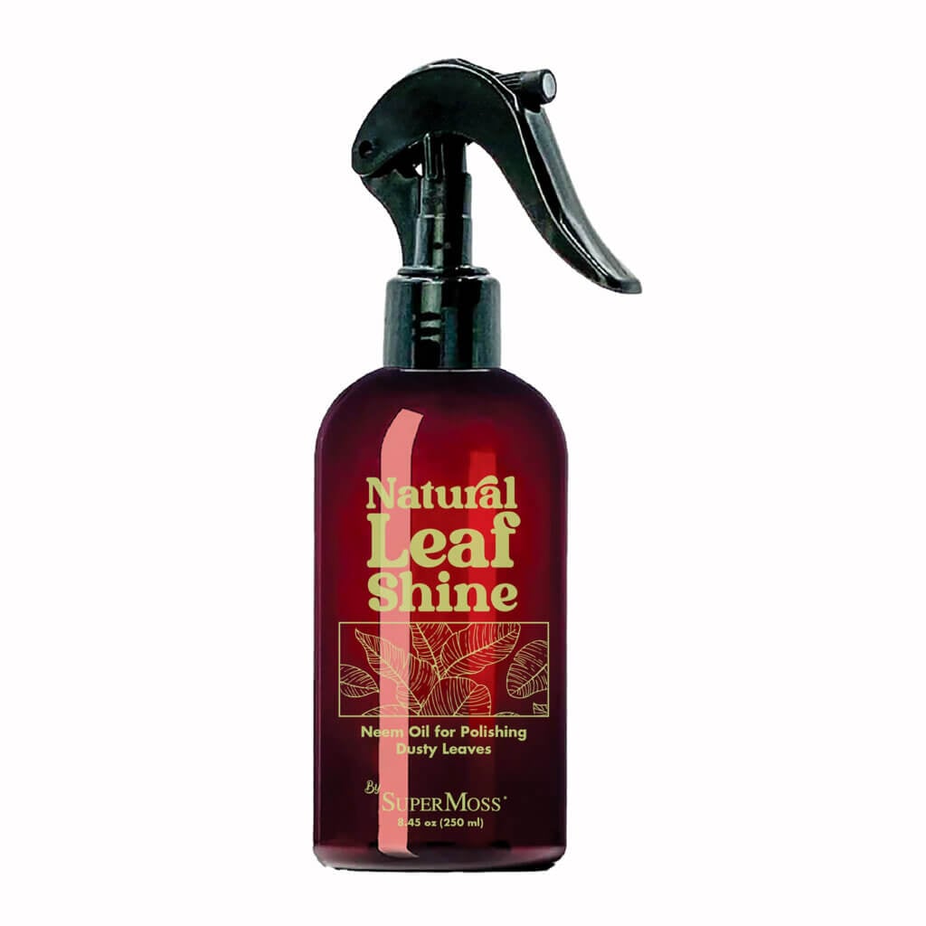 Natural Plant Shine Spray #2