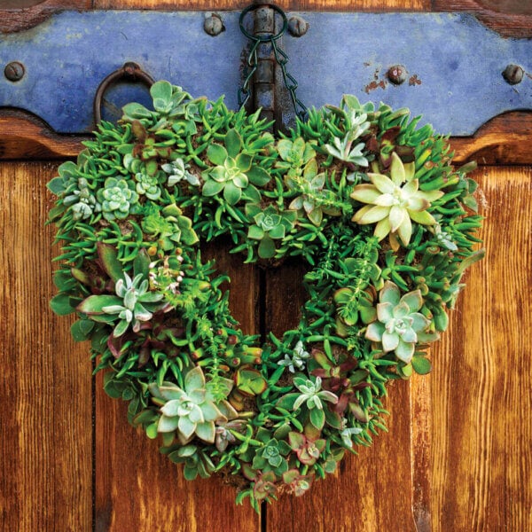 Order Fulfillment Associate