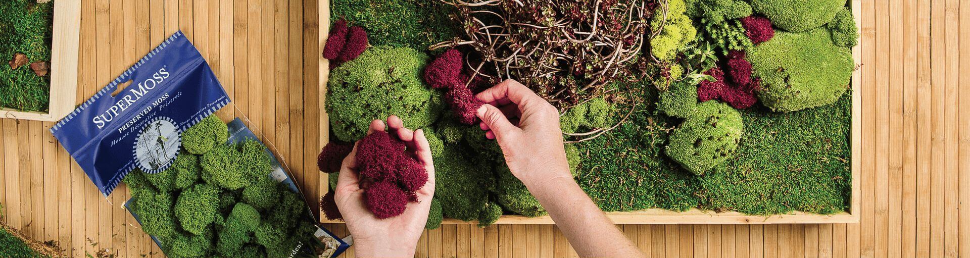 Bring Nature Home for the Holidays