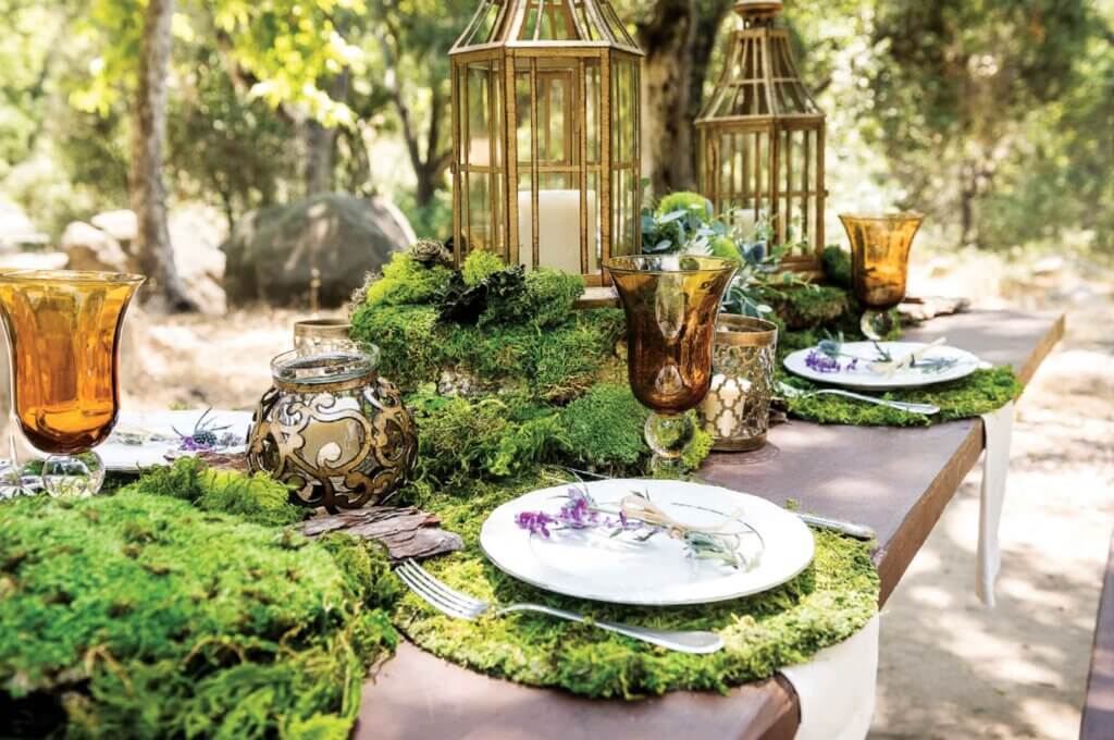 Summer Oasis