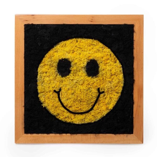Smile SuperMoss Frame