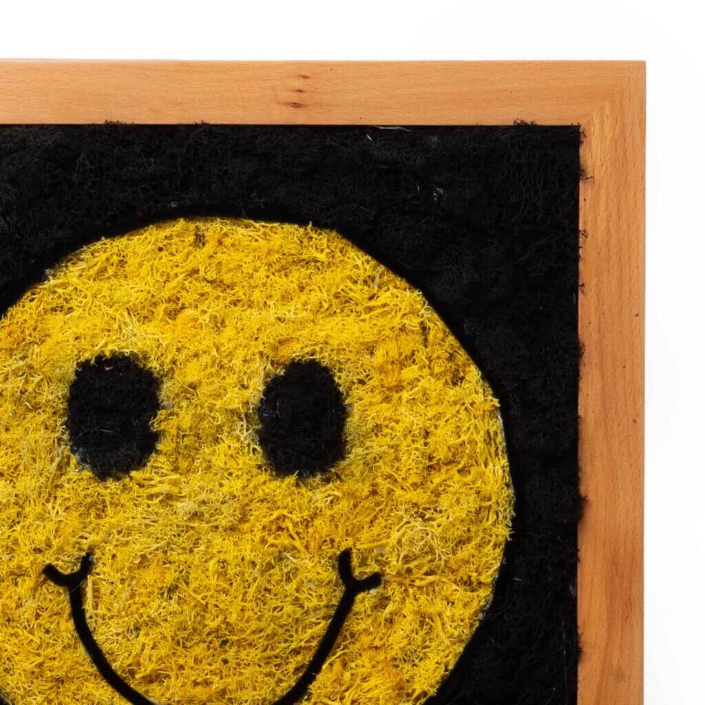 Smile SuperMoss Frame #3