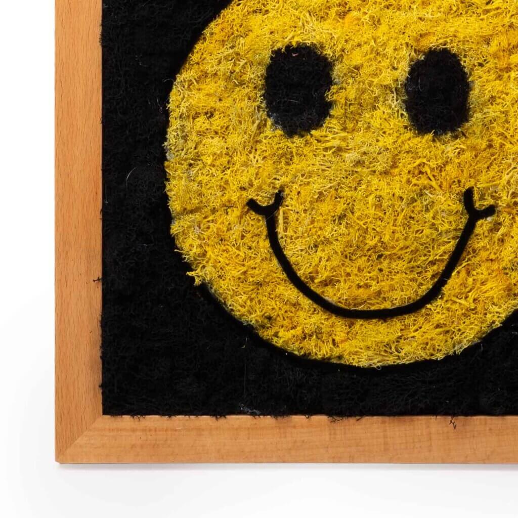 Smile SuperMoss Frame #4