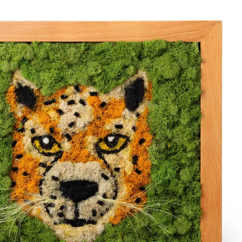 Tiger SuperMoss Frame #3