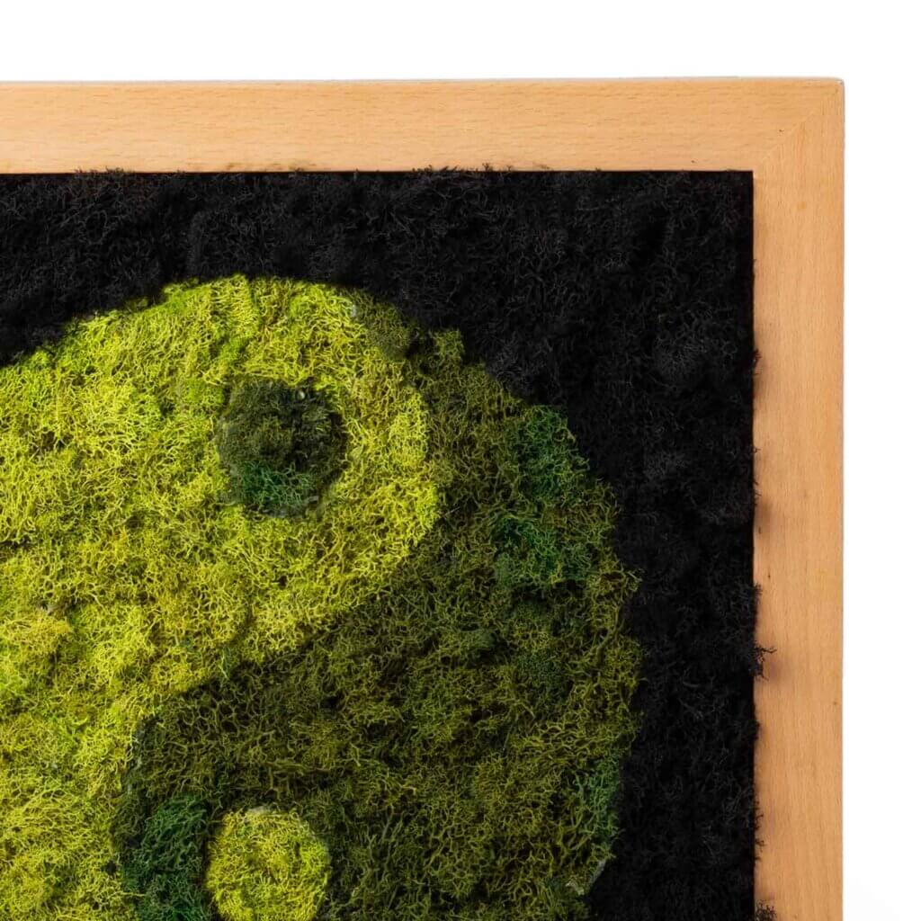 Ying/Yang SuperMoss Frame #3
