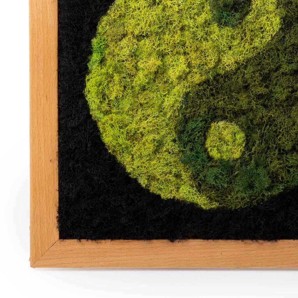 Ying/Yang SuperMoss Frame #4