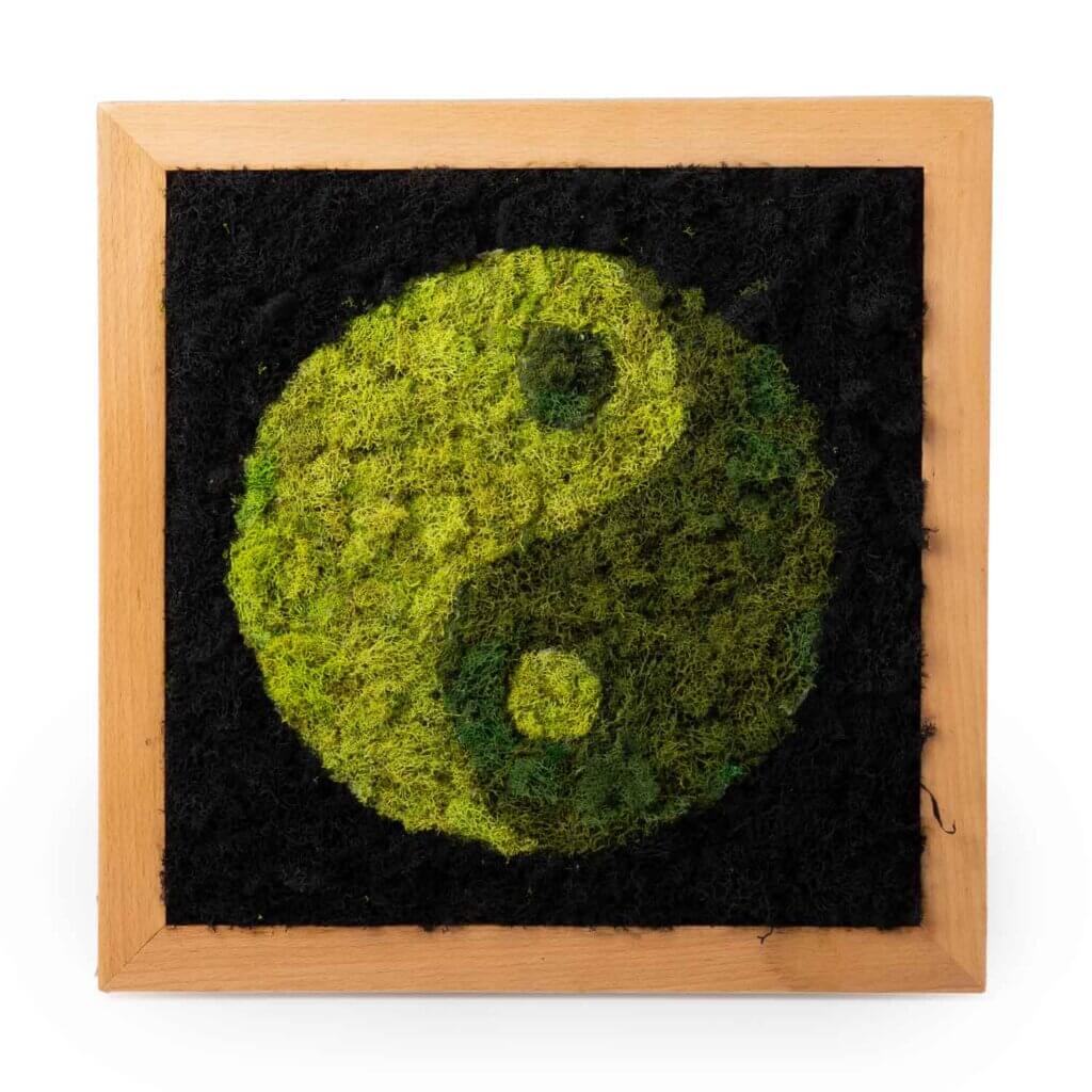 Ying/Yang SuperMoss Frame #2
