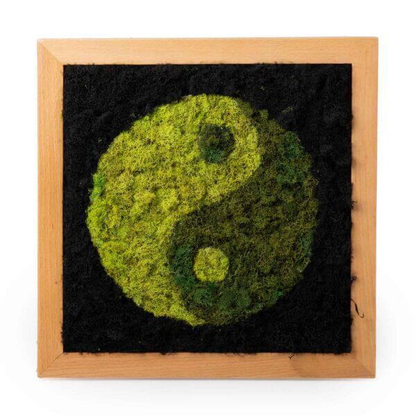 Ying/Yang SuperMoss Frame