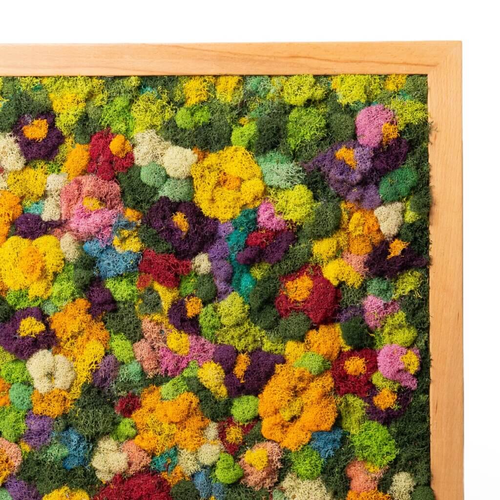 Color Field SuperMoss Frame (24in x 24in) #3