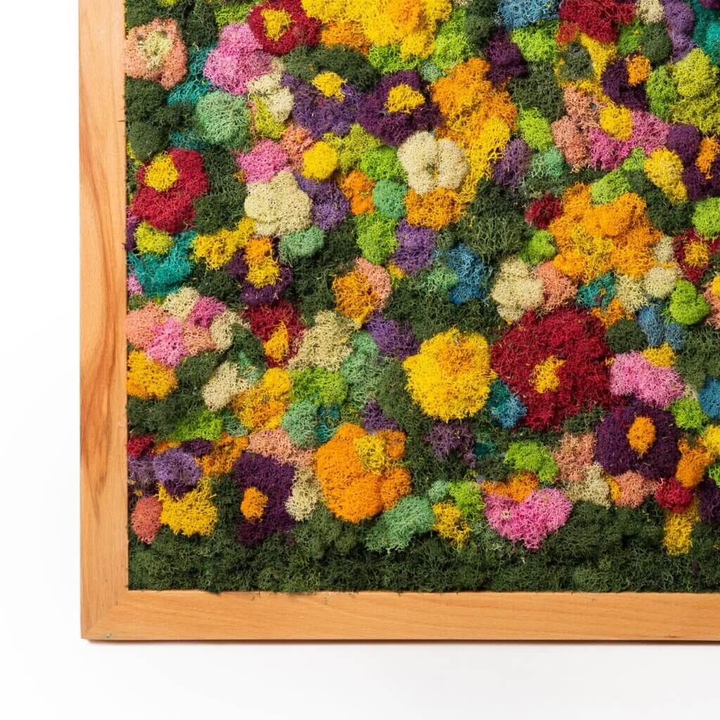 Color Field SuperMoss Frame (24in x 24in) #4