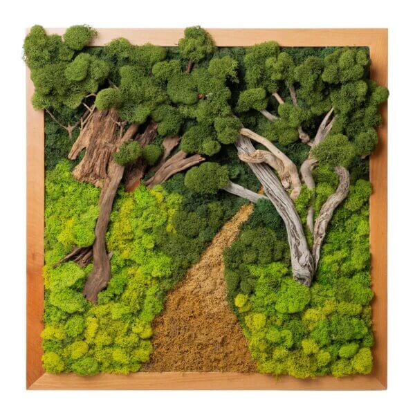 Into the Forest SuperMoss Frame (24in x 24in)