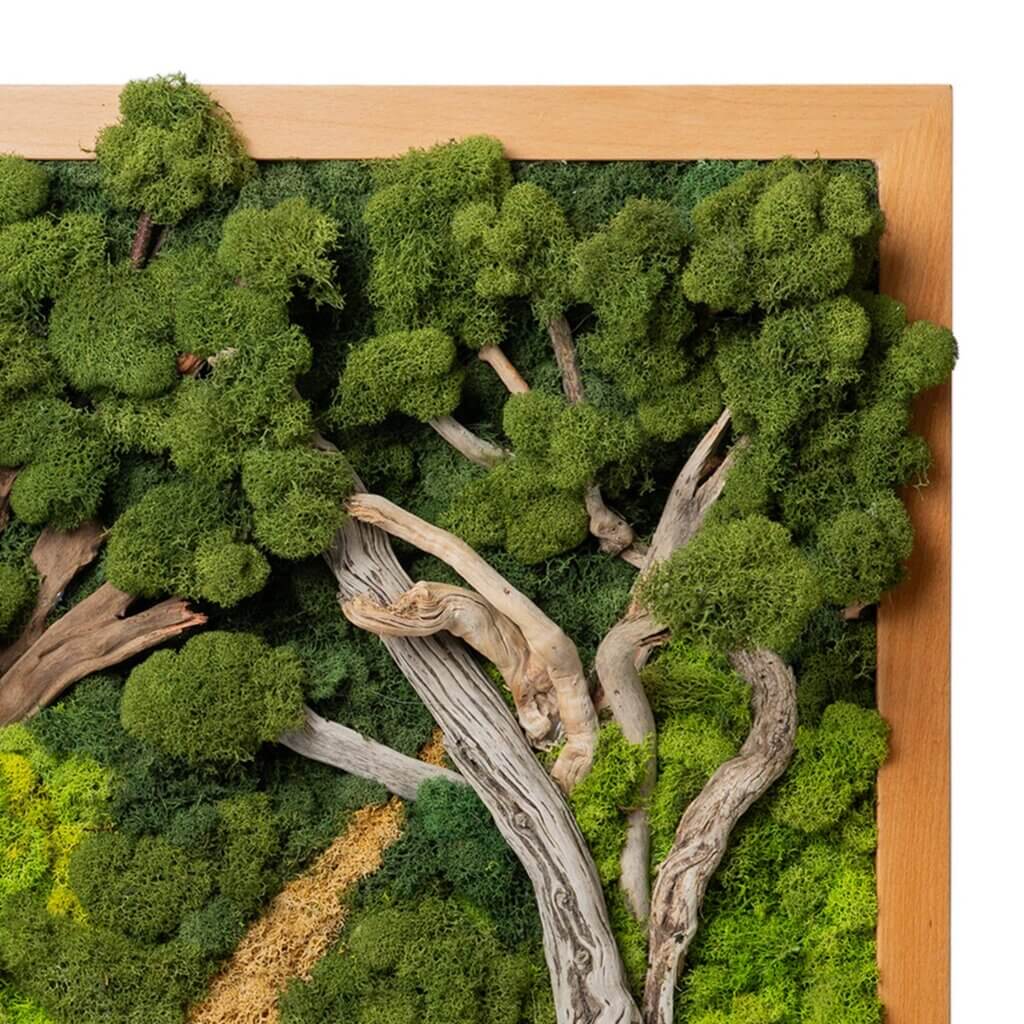 Into the Forest SuperMoss Frame (24in x 24in) #3