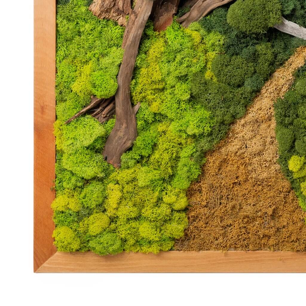 Into the Forest SuperMoss Frame (24in x 24in) #4