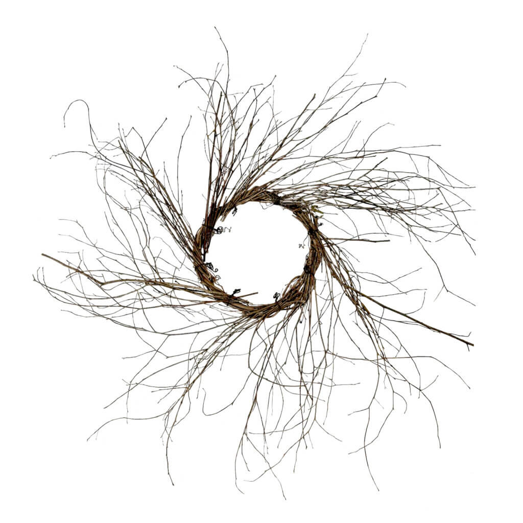 Wispy Grapevine Wreath #1