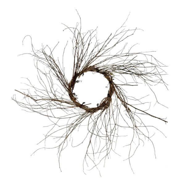Wispy Grapevine Wreath