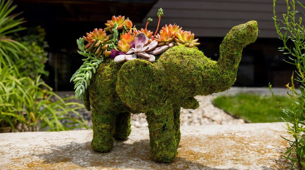 Elephant Deco Moss Planter #1
