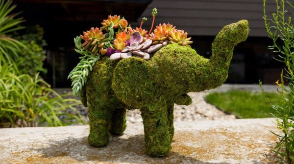 Elephant Deco Moss Planter