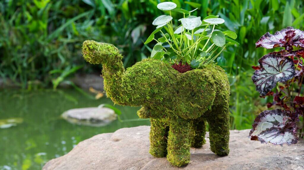 Elephant Deco Moss Planter #5