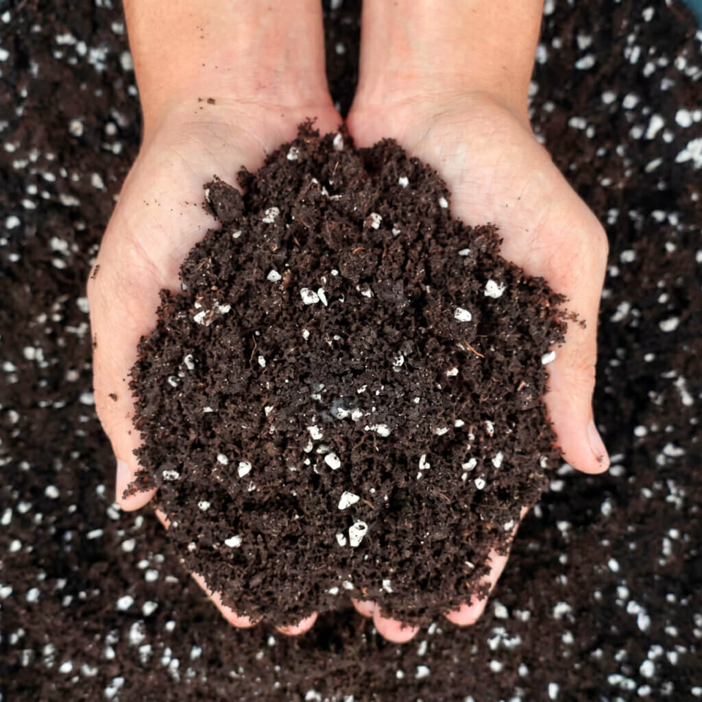 Perlite #4