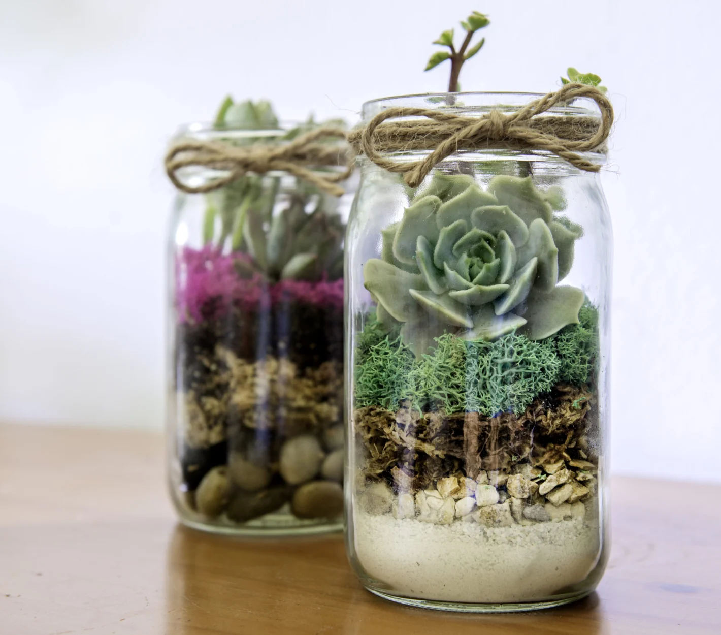 Decorating Tips for a Cozy, Nature-Inspired Home