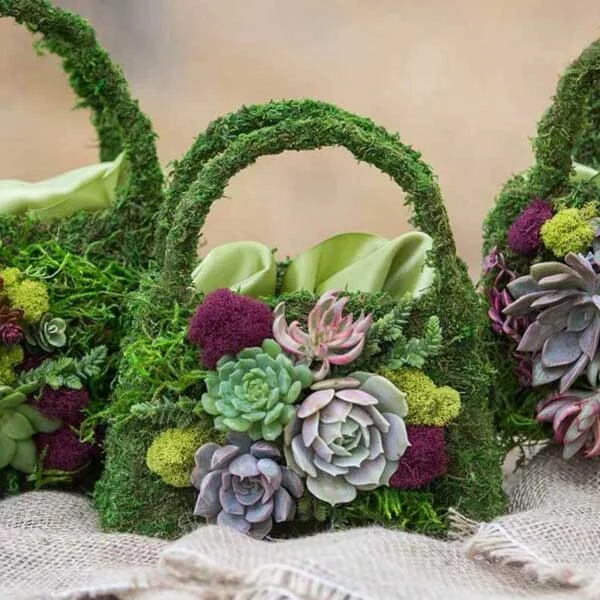 Beaumont Purse Planter Set