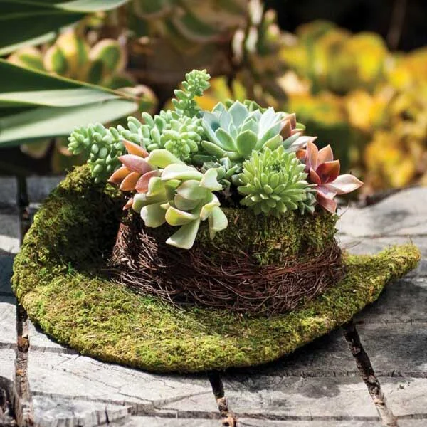 Cowboy Hat Deco Moss Planter