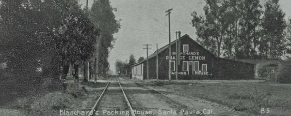 <em>A</em>bout <em>S</em>uper<em>M</em>oss