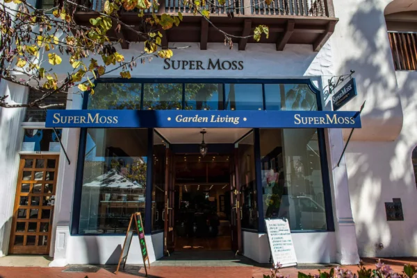 our first flagship store