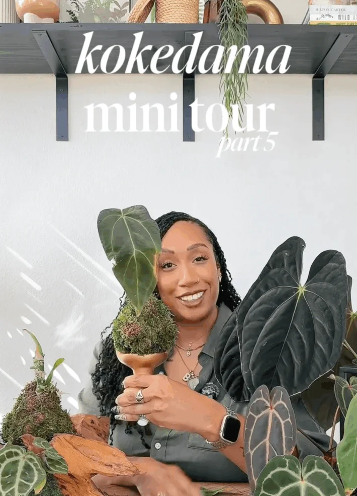 BOTANICALLYBE: GROWING CONFIDENCE, COMMUNITY, AND CARE THROUGH PLANTS